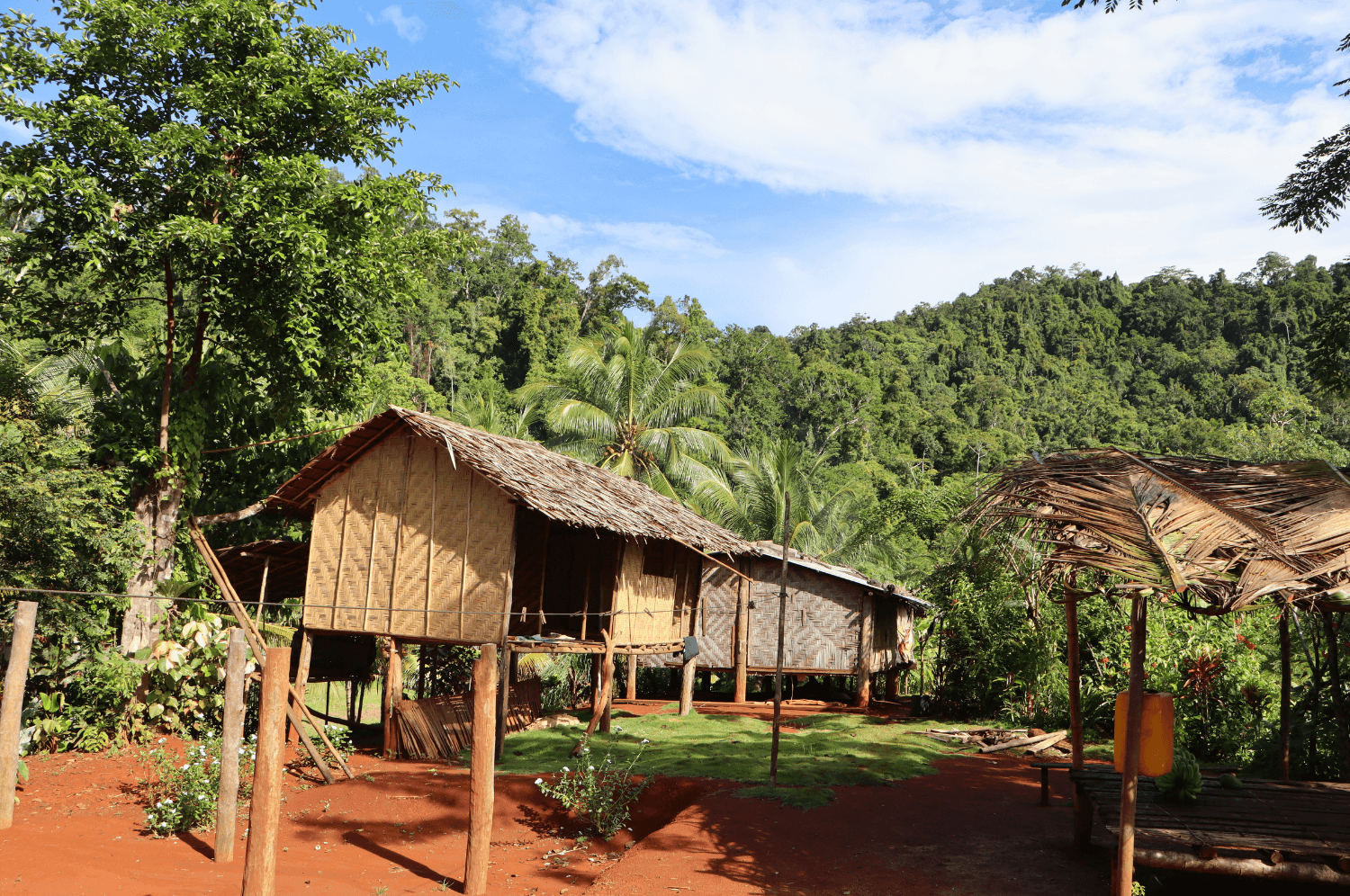 Fundraiser: Protecting the Rainforest in Papua New Guinea